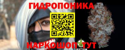 a pvp Лесосибирск