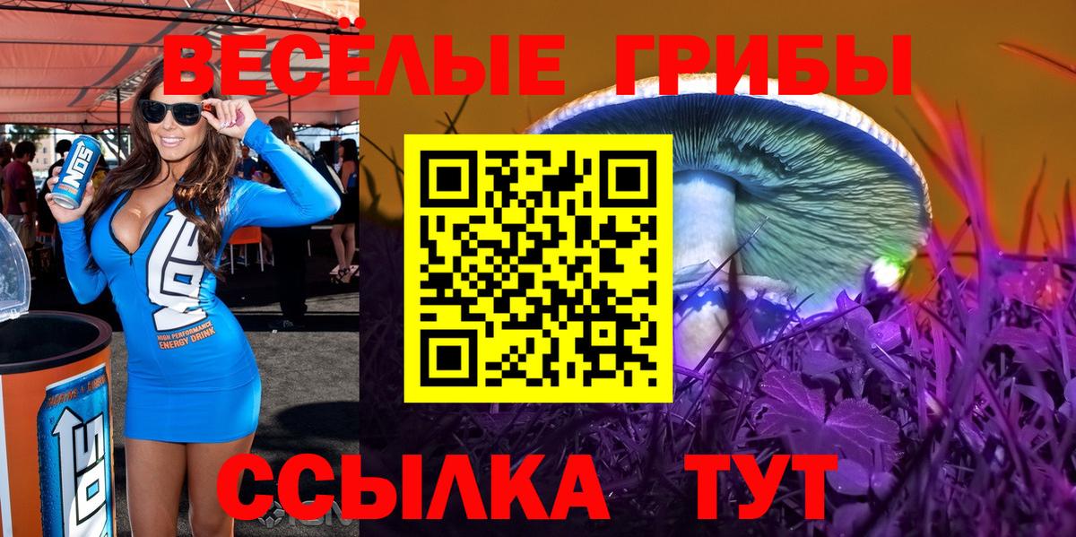 Псилоцибиновые грибы мицелий  Вход с VPN  Галлюциногенные грибы MAGIC MUSHROOMS  цены   Аксай 